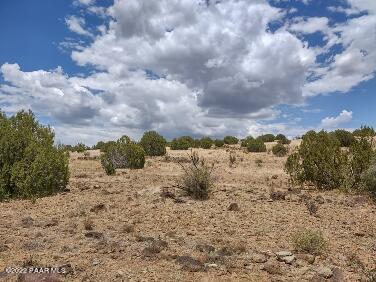 Lot 73 Rocky Rabbit Road Ash Fork, AZ 86320 - Photo 61 of 104 IMG_20220701_130926026_HDR