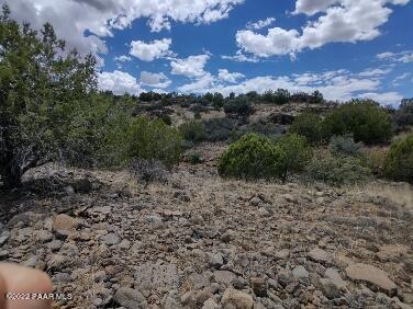 Lot 73 Rocky Rabbit Road Ash Fork, AZ 86320 - Photo 65 of 104 IMG_20220701_131139477_HDR