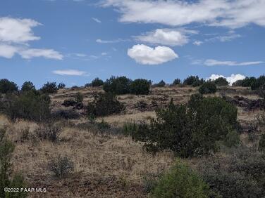 Lot 73 Rocky Rabbit Road Ash Fork, AZ 86320 - Photo 67 of 104 IMG_20220701_131204041_HDR