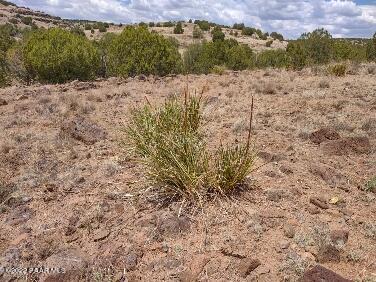 Lot 73 Rocky Rabbit Road Ash Fork, AZ 86320 - Photo 76 of 104 IMG_20220701_131620930_HDR
