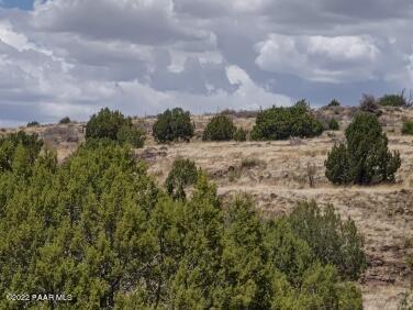 Lot 73 Rocky Rabbit Road Ash Fork, AZ 86320 - Photo 77 of 104 IMG_20220701_131634389_HDR