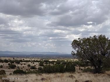 Lot 73 Rocky Rabbit Road Ash Fork, AZ 86320 - Photo 81 of 104 IMG_20220701_141114228