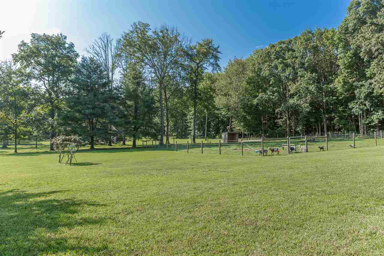 4210 Bloomer Springs Road Elkton, VA 22827 - Photo 5 of 35 Gallery Image 5