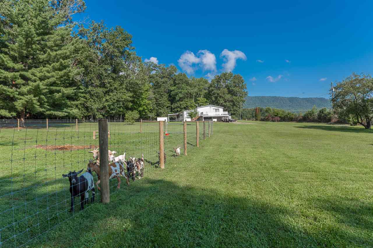4210 Bloomer Springs Road Elkton, VA 22827 - Photo 6 of 35 Gallery Image 6