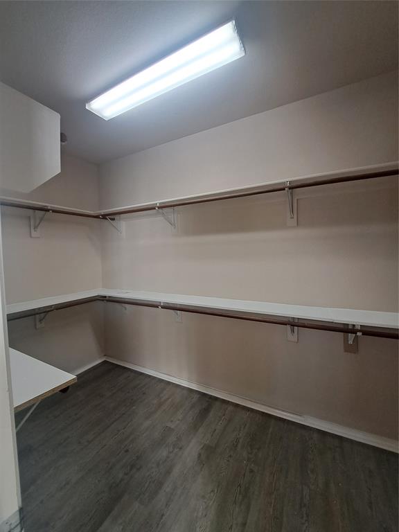 612 Tall Tree Drive Murphy, TX 75094 - Photo 10 of 20 Master Room closet