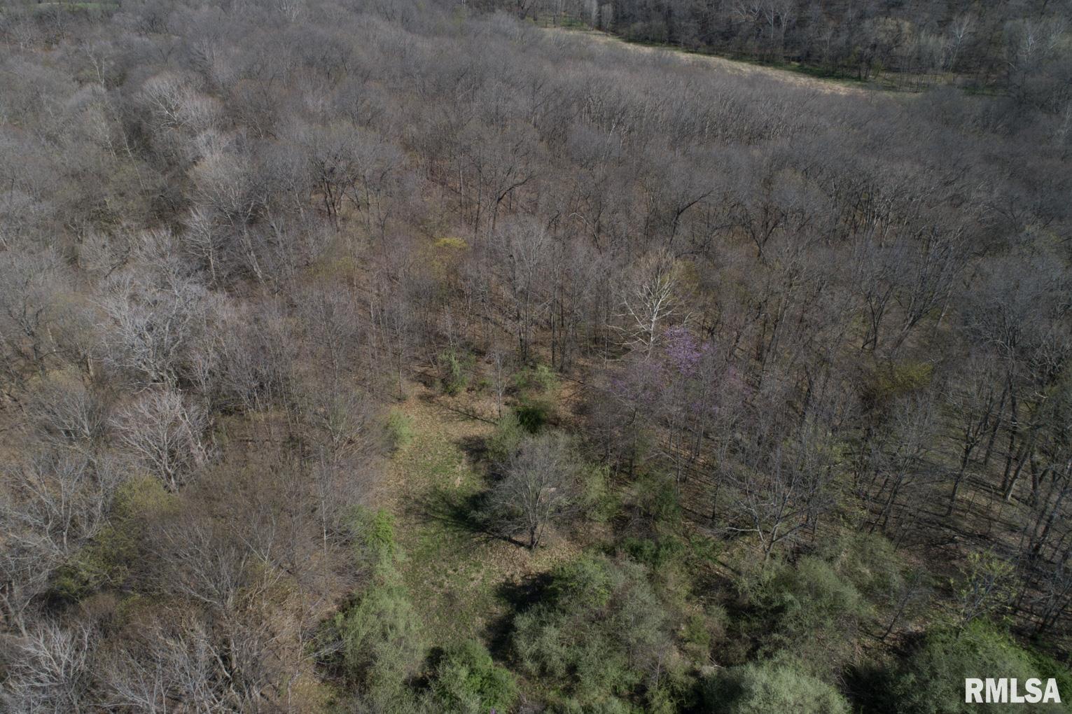 24134 Kinderhook Road Rushville, IL 62681 - Photo 18 of 21