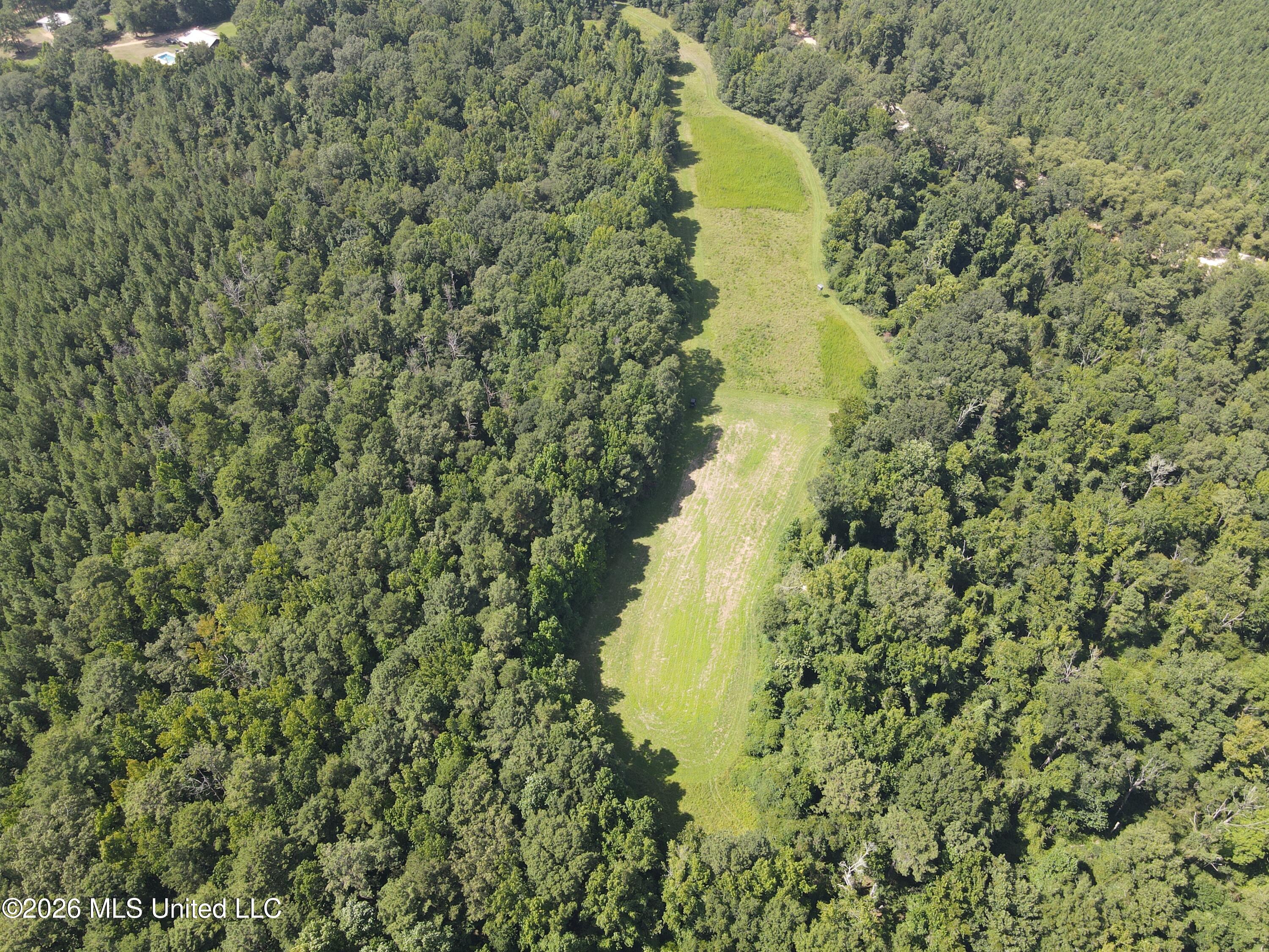 Oldenburg Road Roxie, MS 39661 - Photo 76 of 87 38243