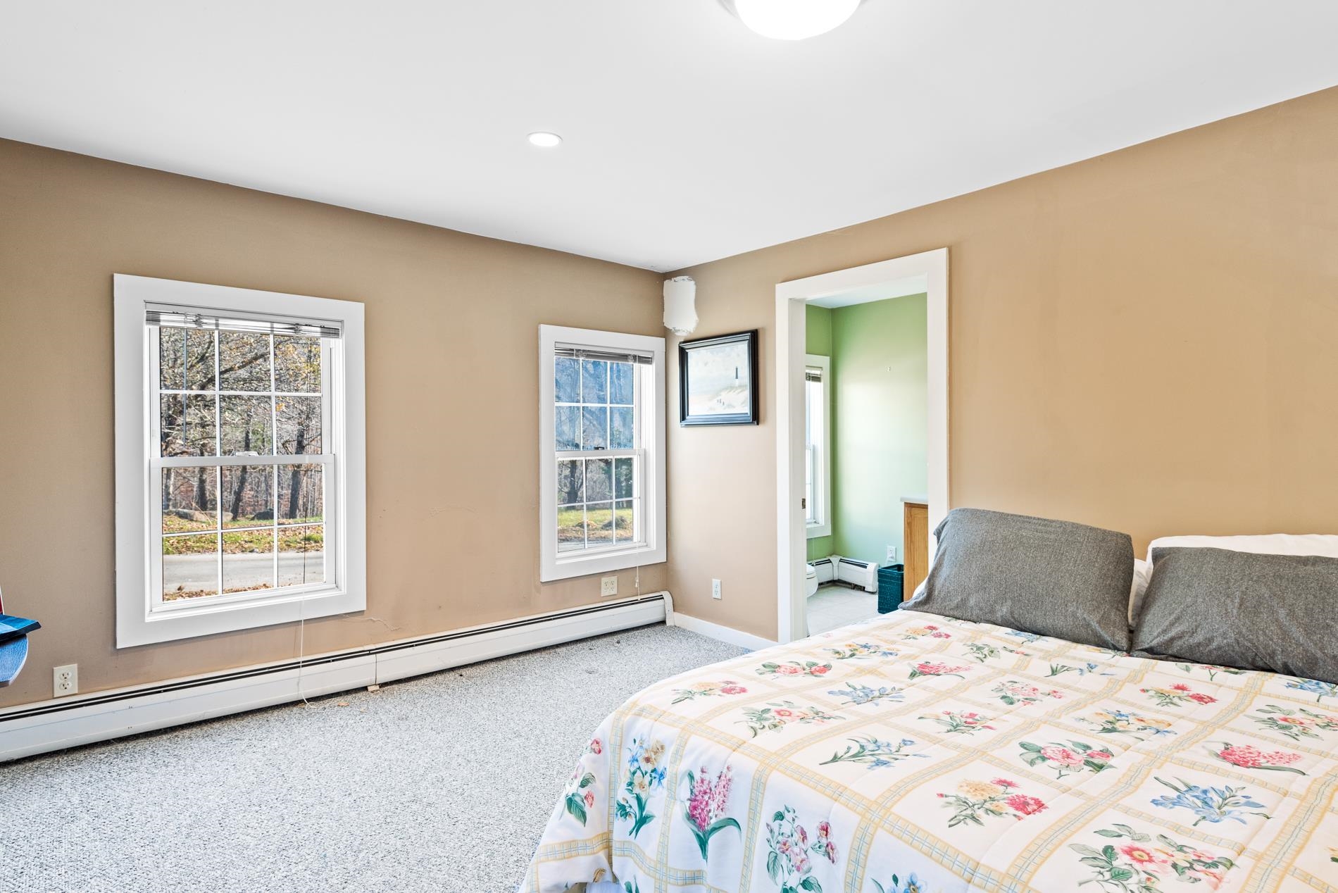 415 Halfmoon Pond Road Washington, NH 03280 - Photo 18 of 30