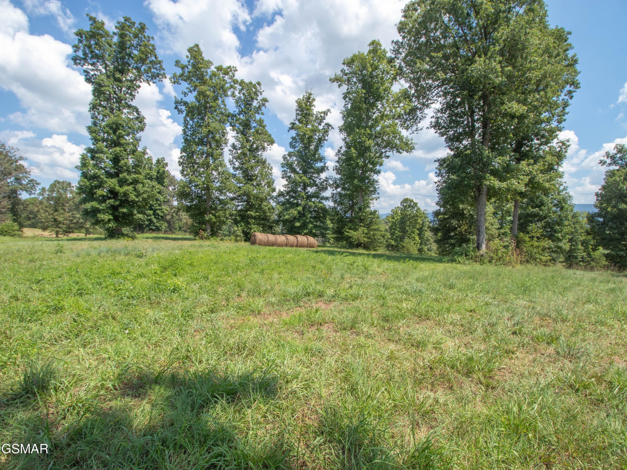 2 Hutton Ridge Road Maryville, TN 37801 - Photo 12 of 26 Gallery Image 12