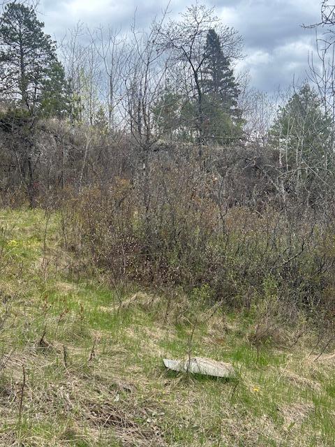 95642 Pine Island Tower, MN 55790 - Photo 10 of 14