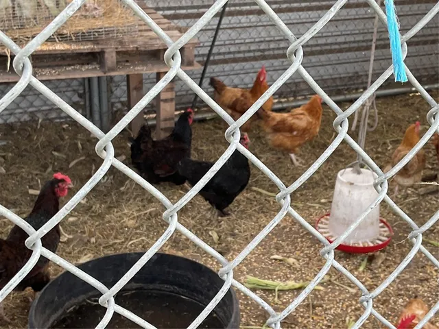 a view of a street with wooden fence
