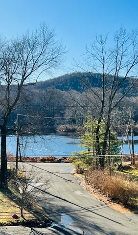 a view of a yard with large trees