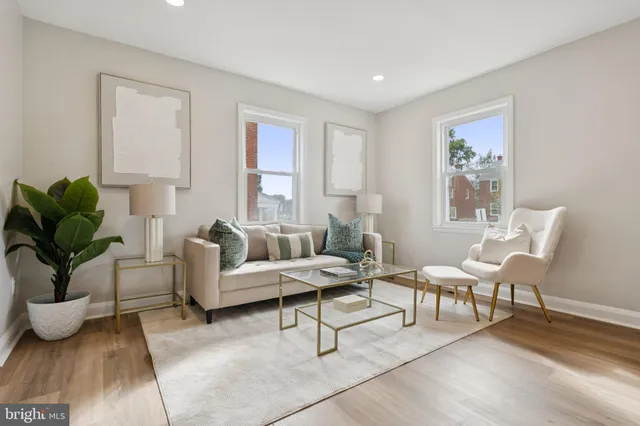 a living room with furniture and a potted plant