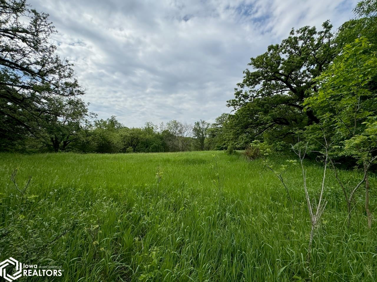 4th Street Dedham, IA 51440 - Photo 11 of 27 Gallery Image 11