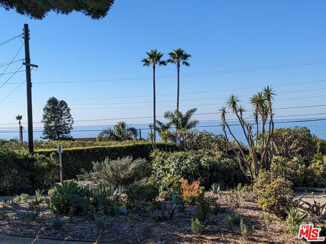 a view of a garden with a fountain