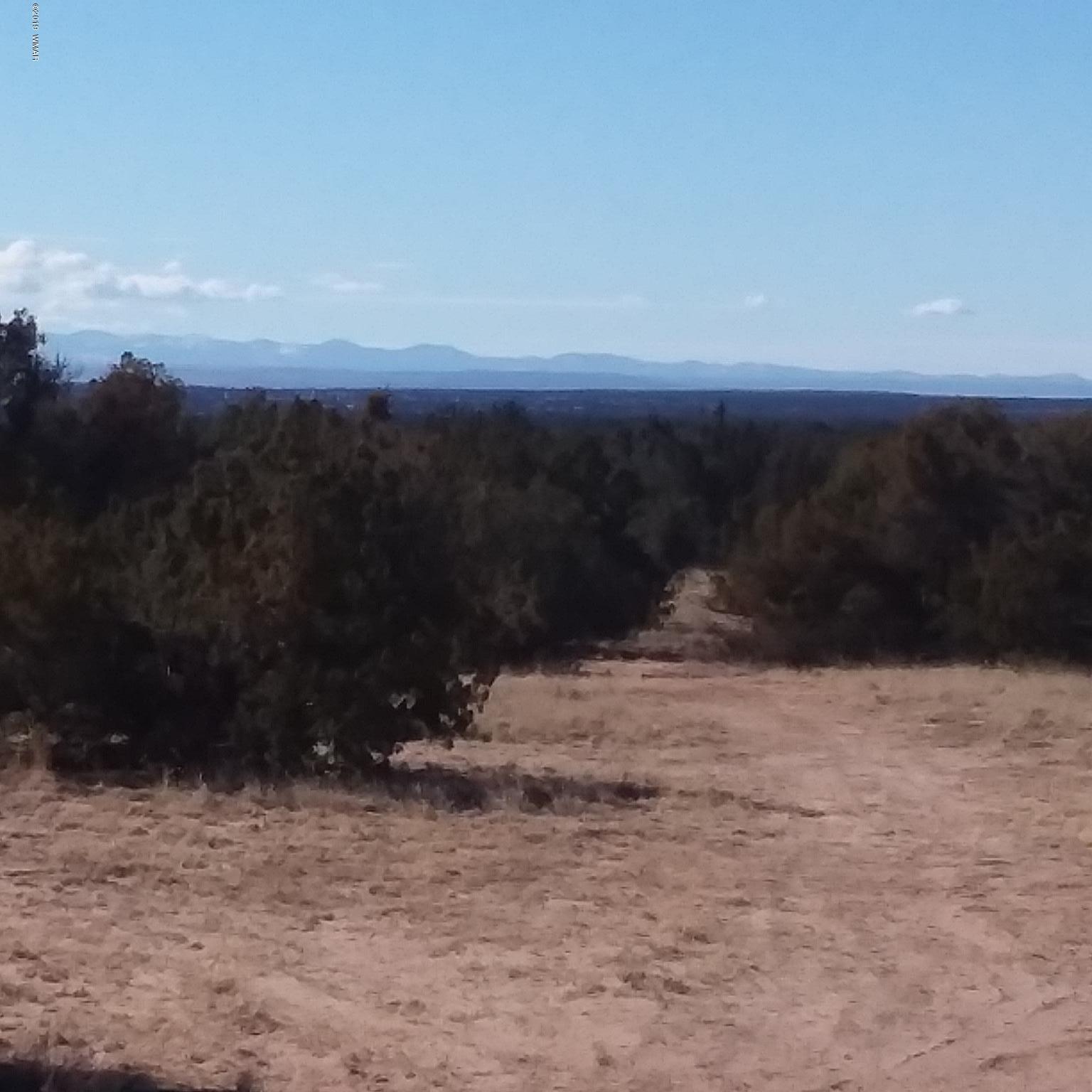 Lot 140 Red Sky Ranch St. Johns, AZ 85936 - Photo 16 of 26