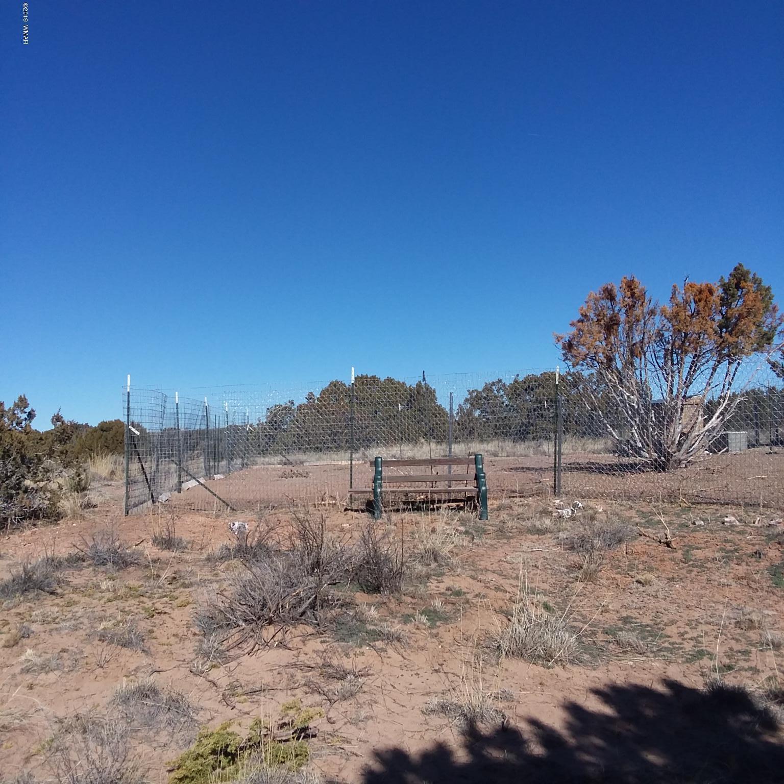 Lot 140 Red Sky Ranch St. Johns, AZ 85936 - Photo 19 of 26