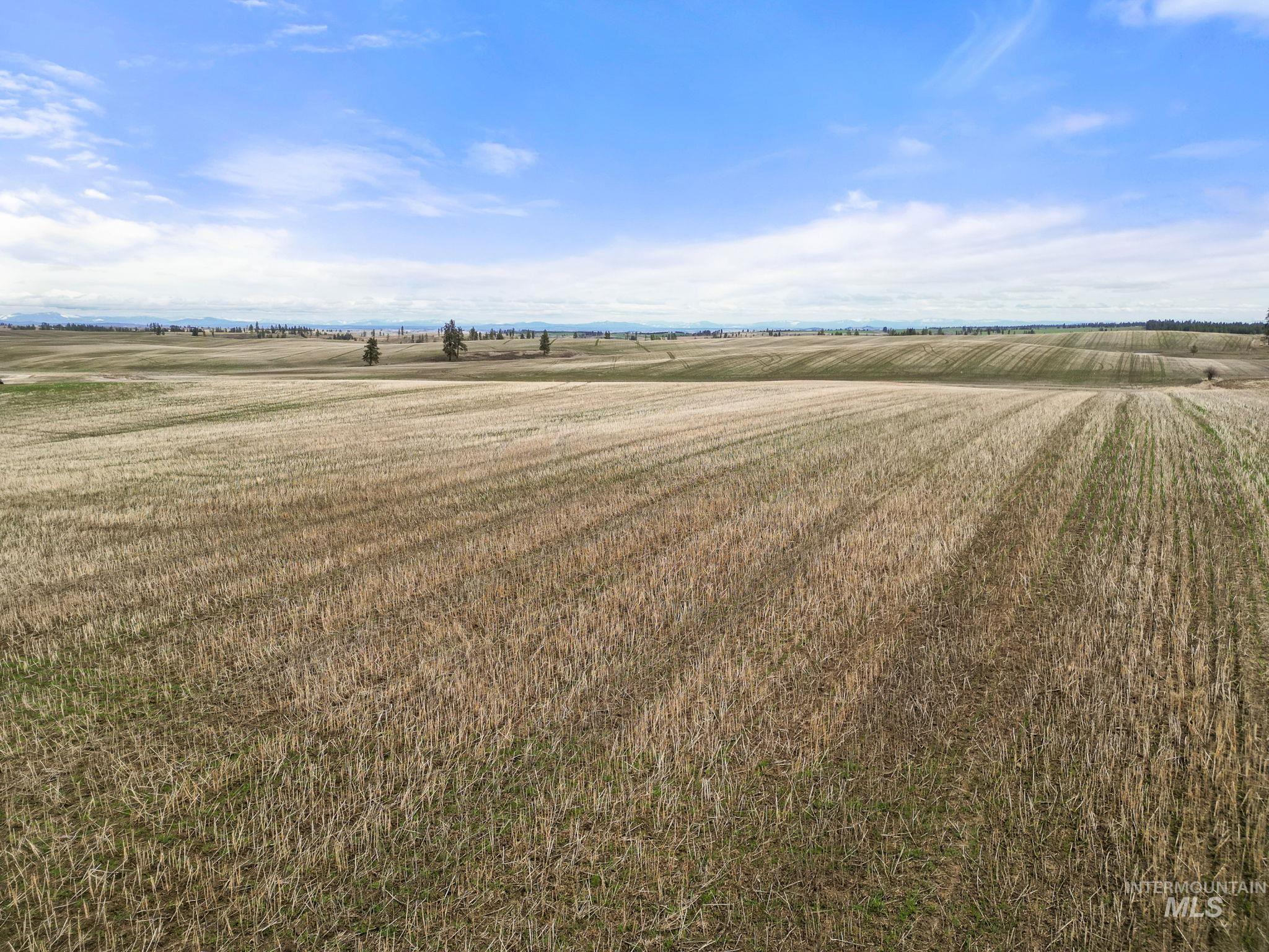 2326 Reubens Road Reubens, ID 83548 - Photo 11 of 34 View of grassy yard featuring a view of countryside