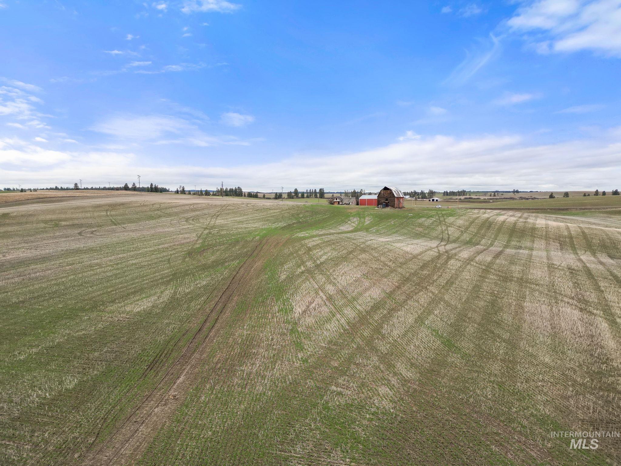 2326 Reubens Road Reubens, ID 83548 - Photo 13 of 34 View of yard featuring an outdoor structure, a view of countryside, and a barn