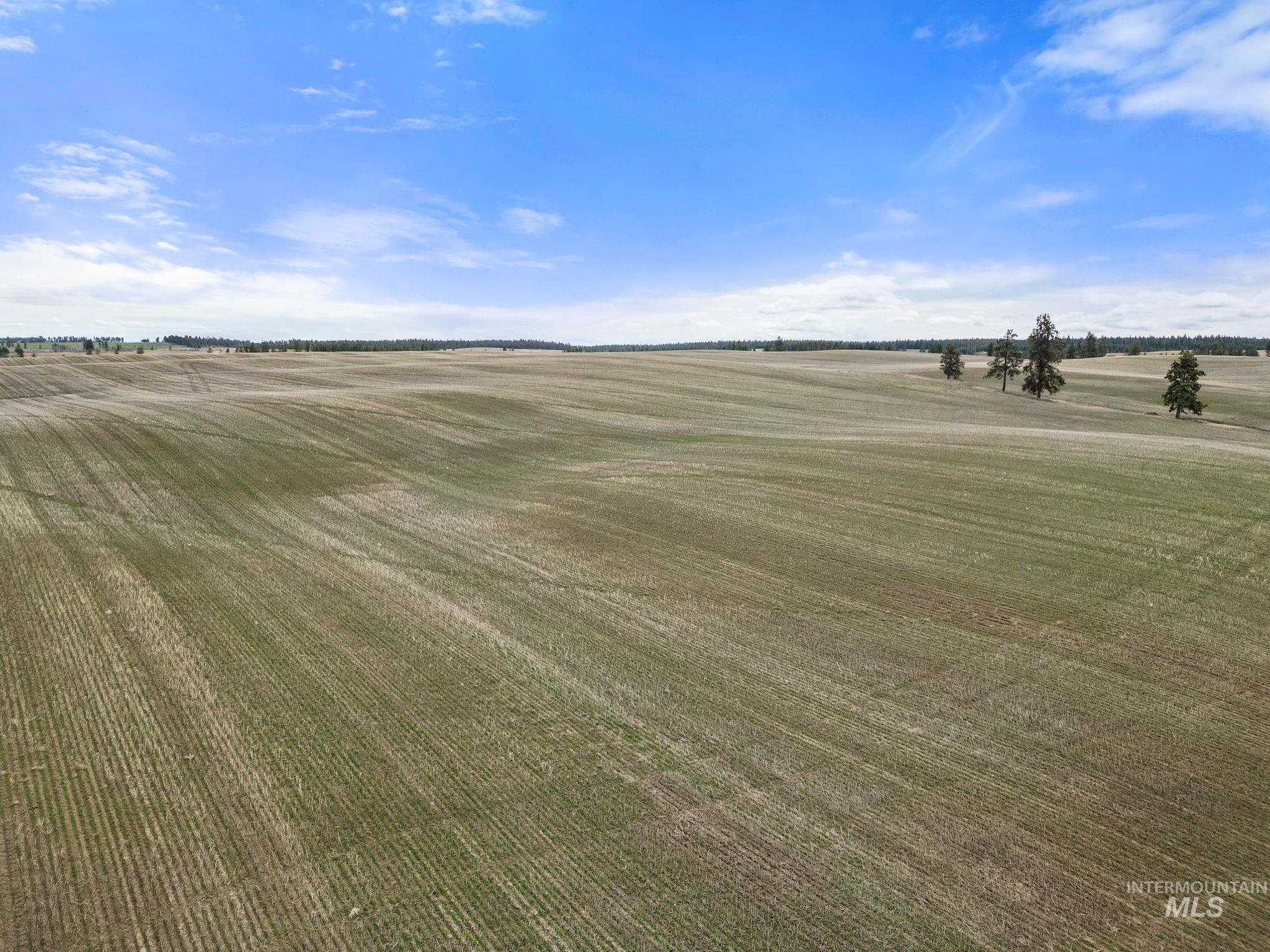 2326 Reubens Road Reubens, ID 83548 - Photo 14 of 34 View of yard featuring a view of countryside