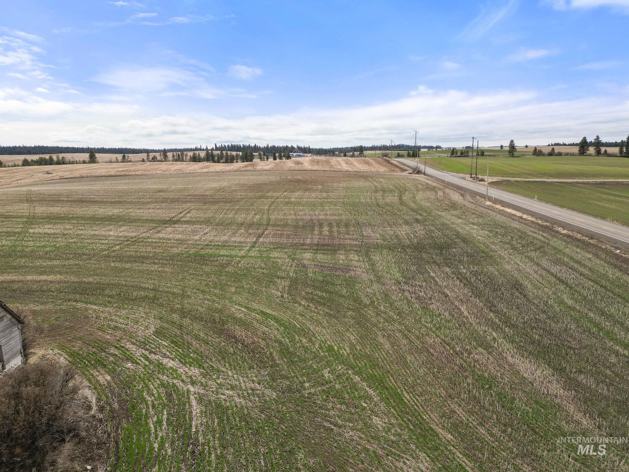 2326 Reubens Road Reubens, ID 83548 - Photo 17 of 34 View of green lawn with a view of countryside