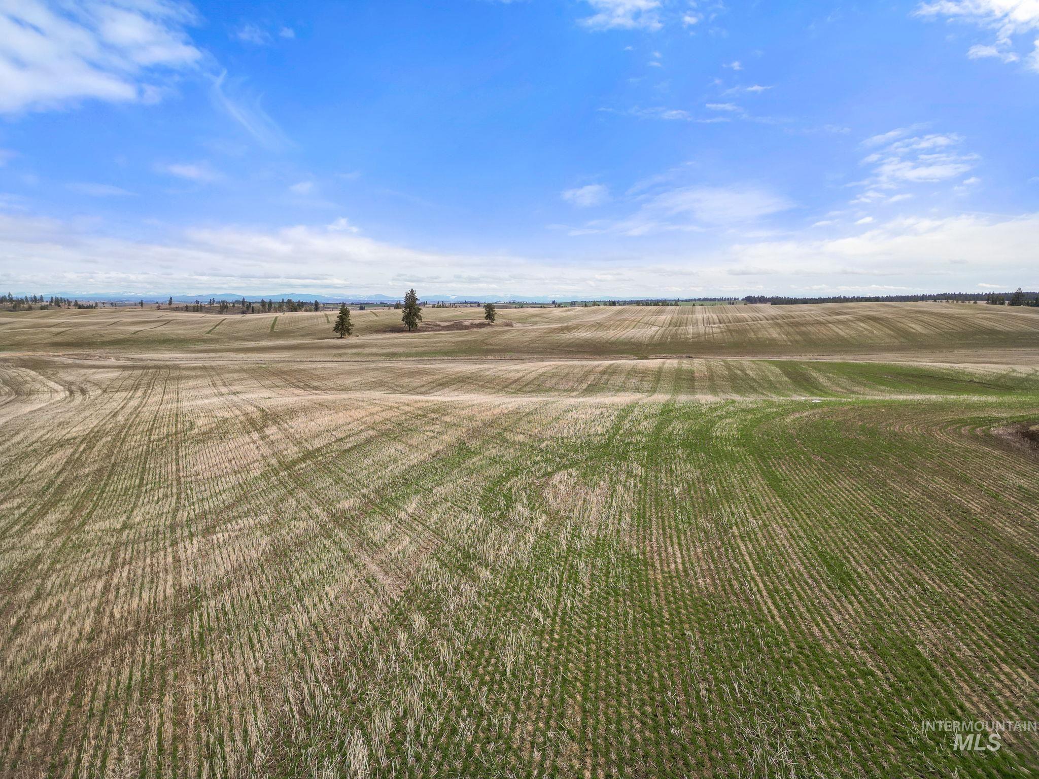 2326 Reubens Road Reubens, ID 83548 - Photo 18 of 34 View of yard with a view of countryside and agricultural plots
