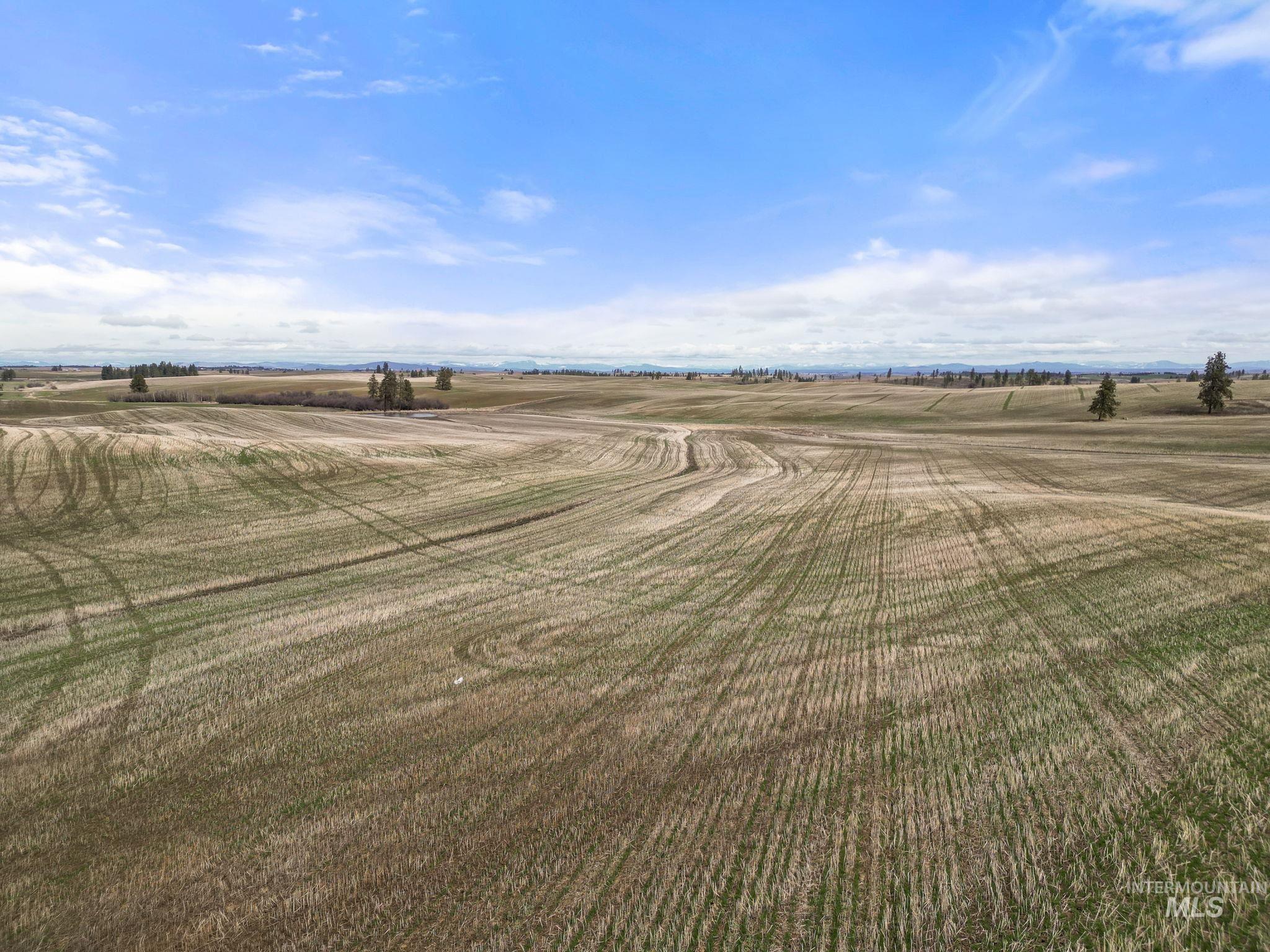 2326 Reubens Road Reubens, ID 83548 - Photo 19 of 34 View of yard featuring a rural view