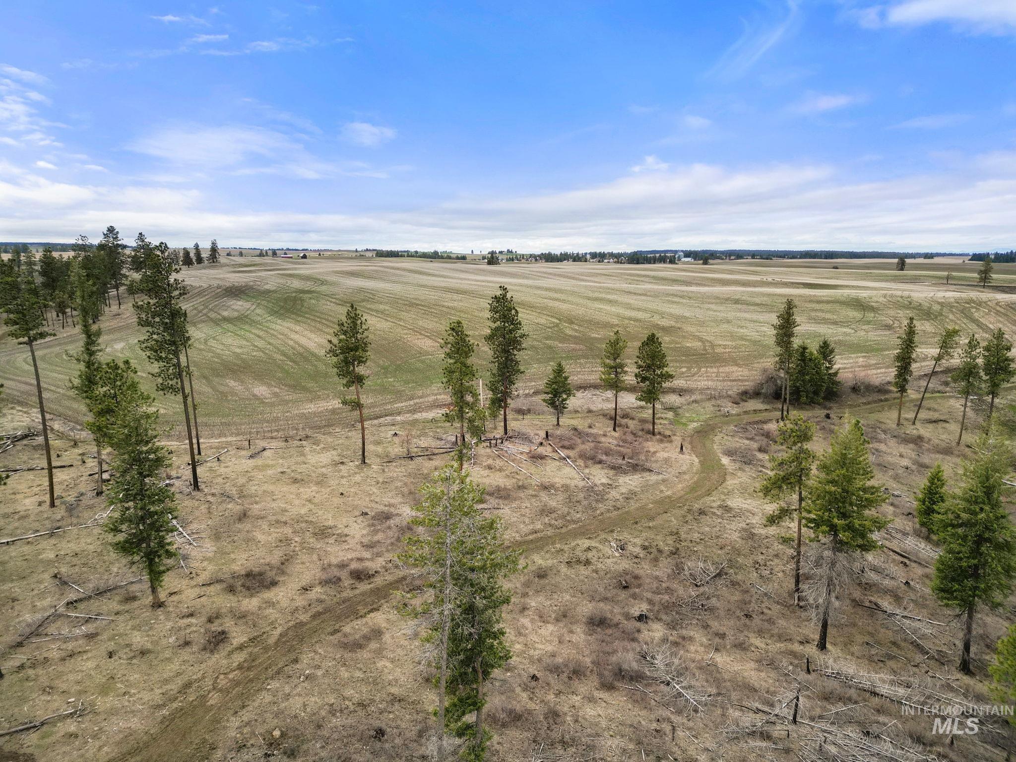 2326 Reubens Road Reubens, ID 83548 - Photo 21 of 34 View of yard featuring a view of rural / pastoral area