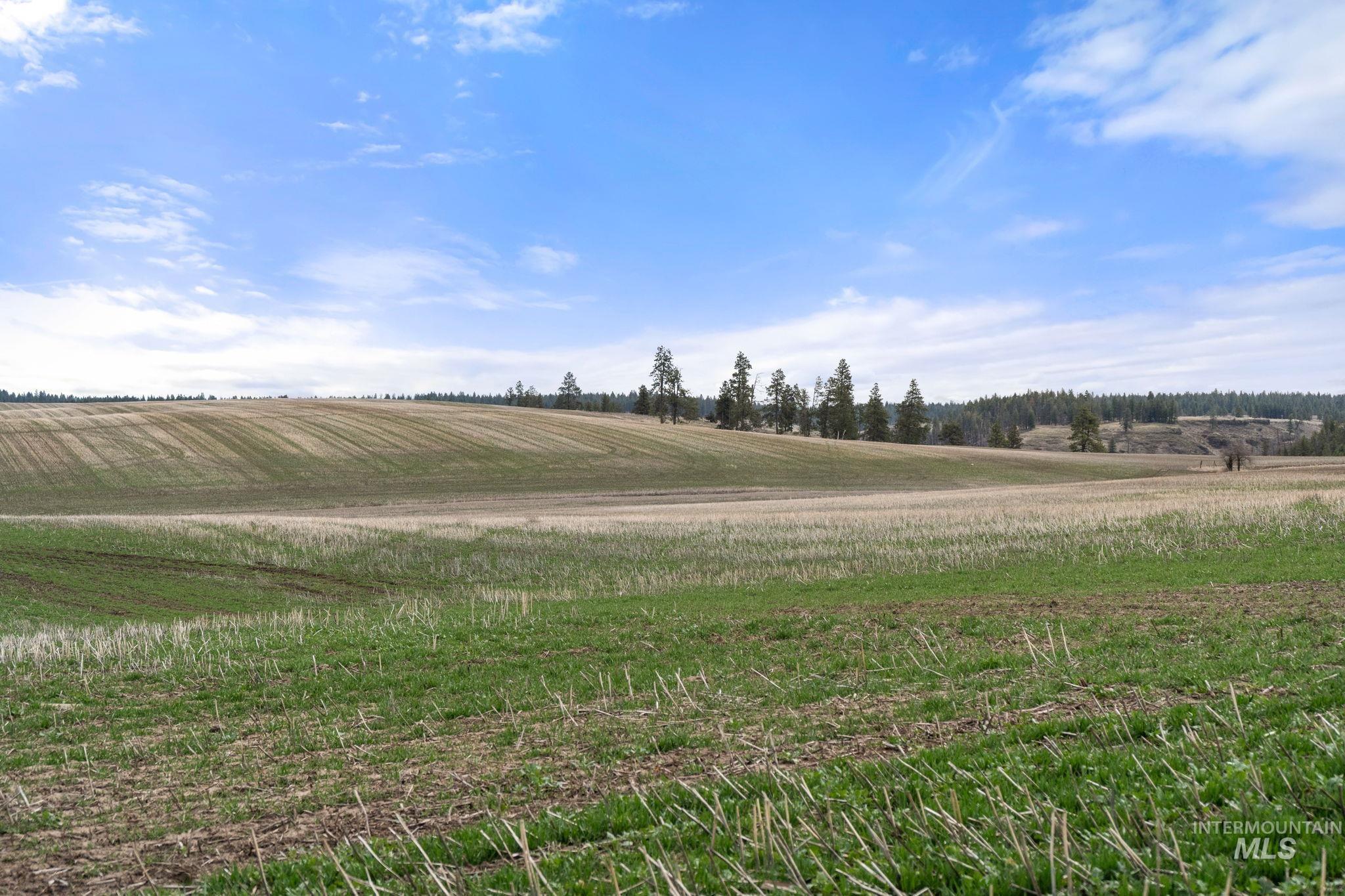 2326 Reubens Road Reubens, ID 83548 - Photo 22 of 34 View of undeveloped land featuring rural landscape