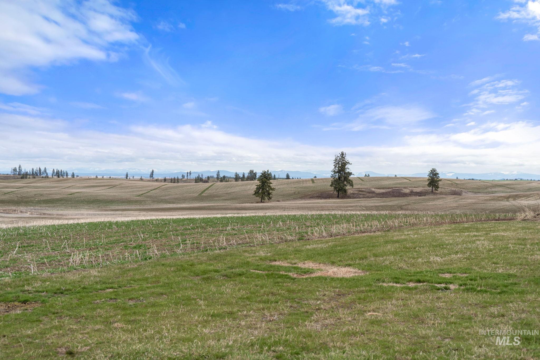 2326 Reubens Road Reubens, ID 83548 - Photo 23 of 34 View of green lawn with a rural view
