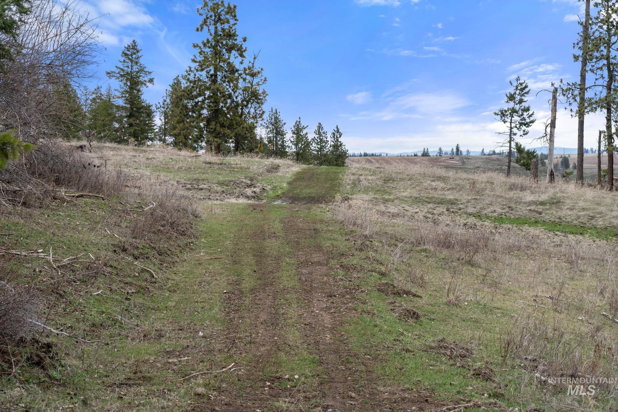 2326 Reubens Road Reubens, ID 83548 - Photo 28 of 34 View of nature featuring rural landscape
