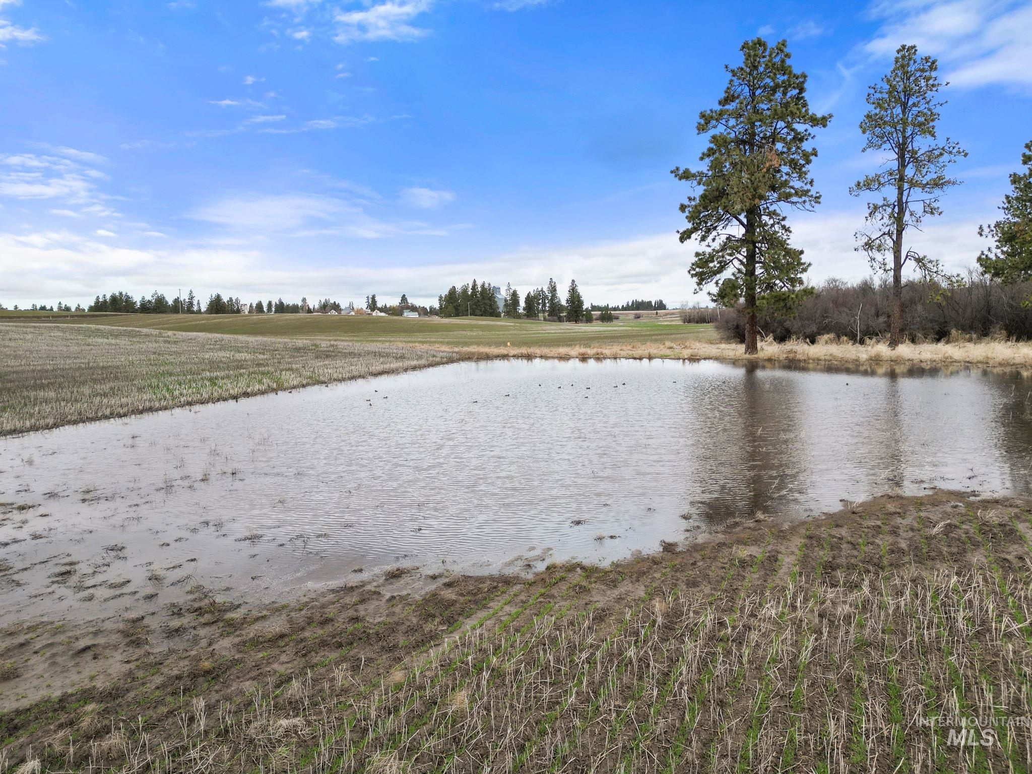2326 Reubens Road Reubens, ID 83548 - Photo 33 of 34 Water view