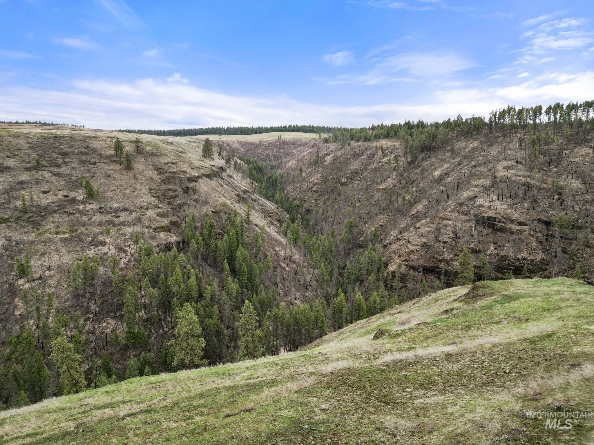 2326 Reubens Road Reubens, ID 83548 - Photo 34 of 34 View of local wilderness with rural landscape