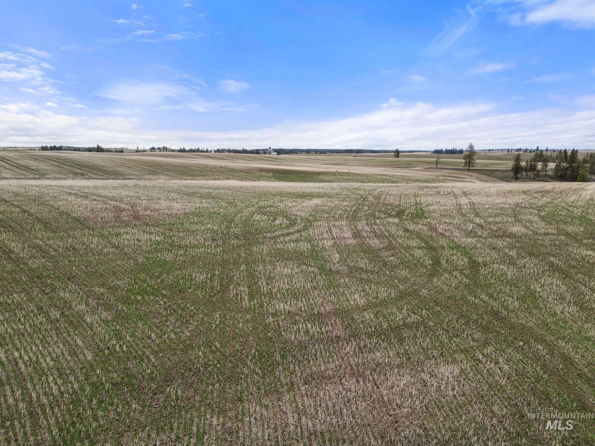 2326 Reubens Road Reubens, ID 83548 - Photo 4 of 34 View of yard with a view of countryside