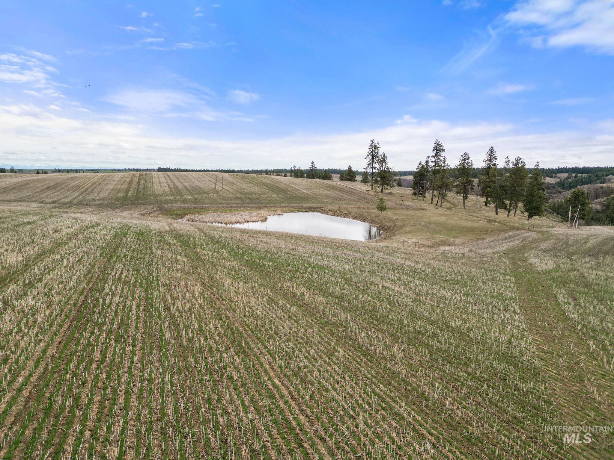 2326 Reubens Road Reubens, ID 83548 - Photo 5 of 34 View of green lawn with a water view and a view of countryside