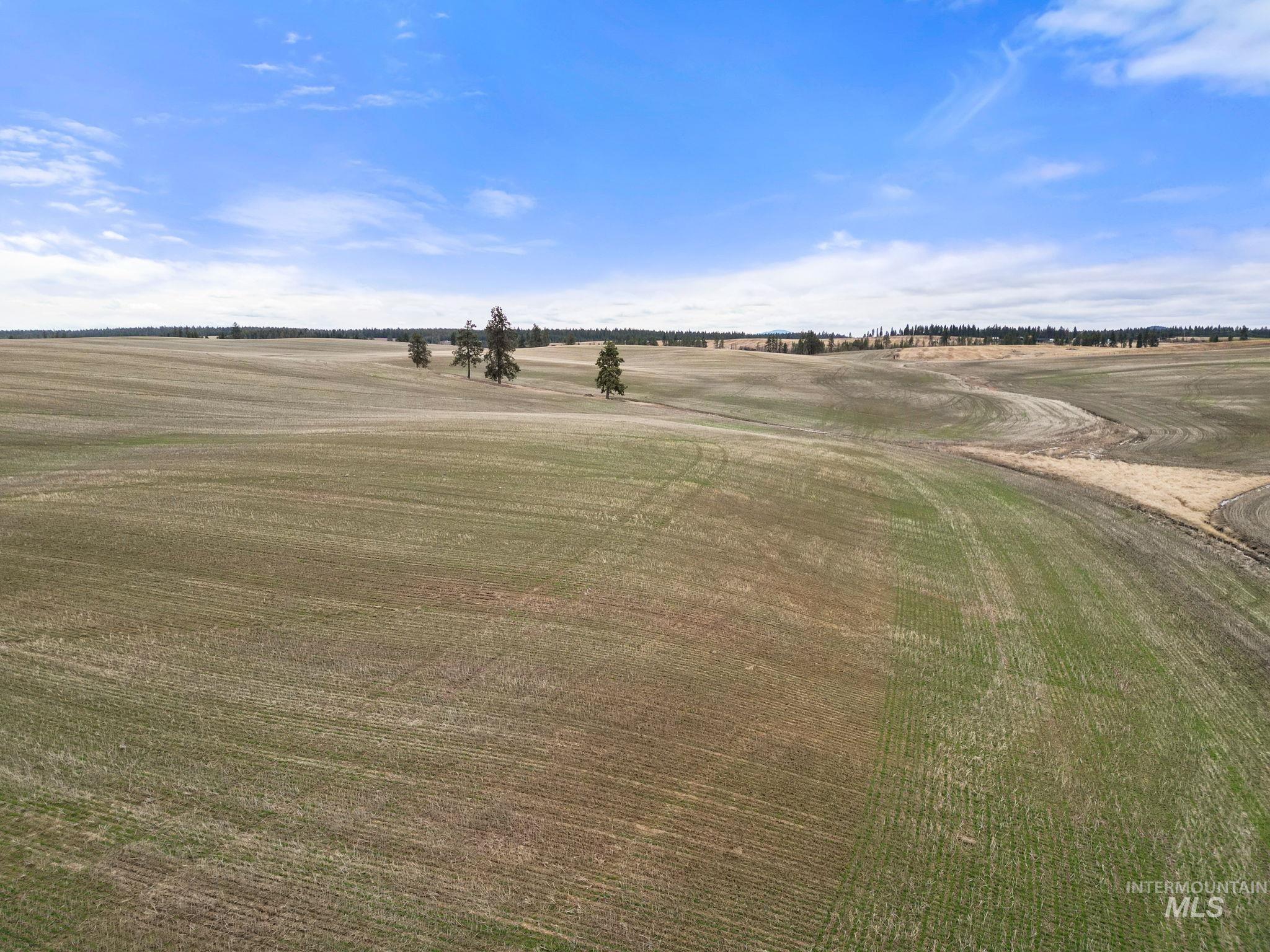 2326 Reubens Road Reubens, ID 83548 - Photo 6 of 34 Surrounding community featuring a view of countryside