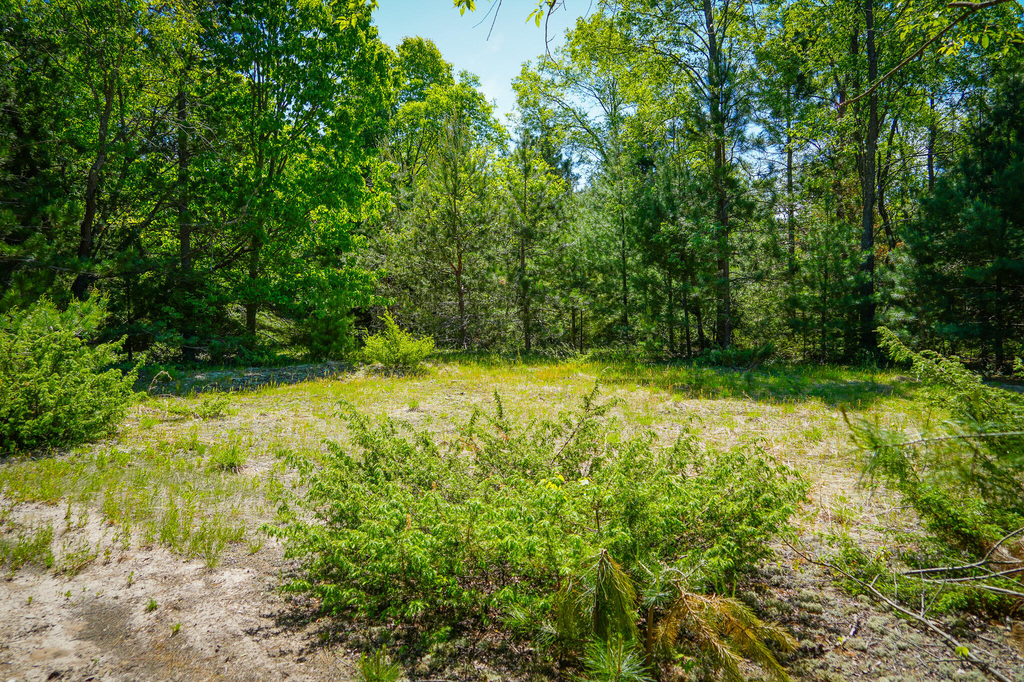 Parcel A Makinen Road Kaleva, MI 49645 - Photo 10 of 29 DSC00247