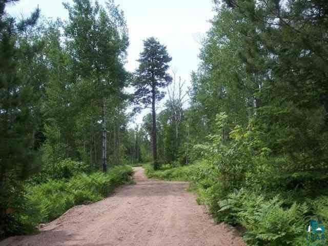 Xx Xx Salo Road Embarrass, MN 55732 - Photo 1 of 5