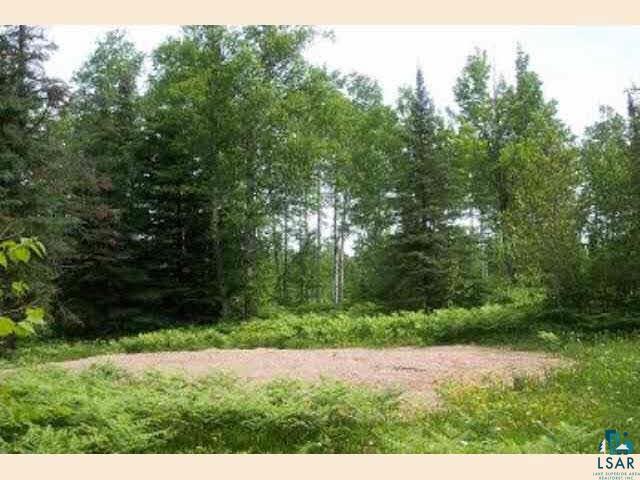 Xx Xx Salo Road Embarrass, MN 55732 - Photo 4 of 5