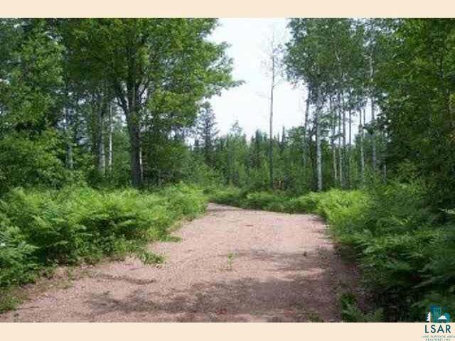 Xx Xx Salo Road Embarrass, MN 55732 - Photo 5 of 5