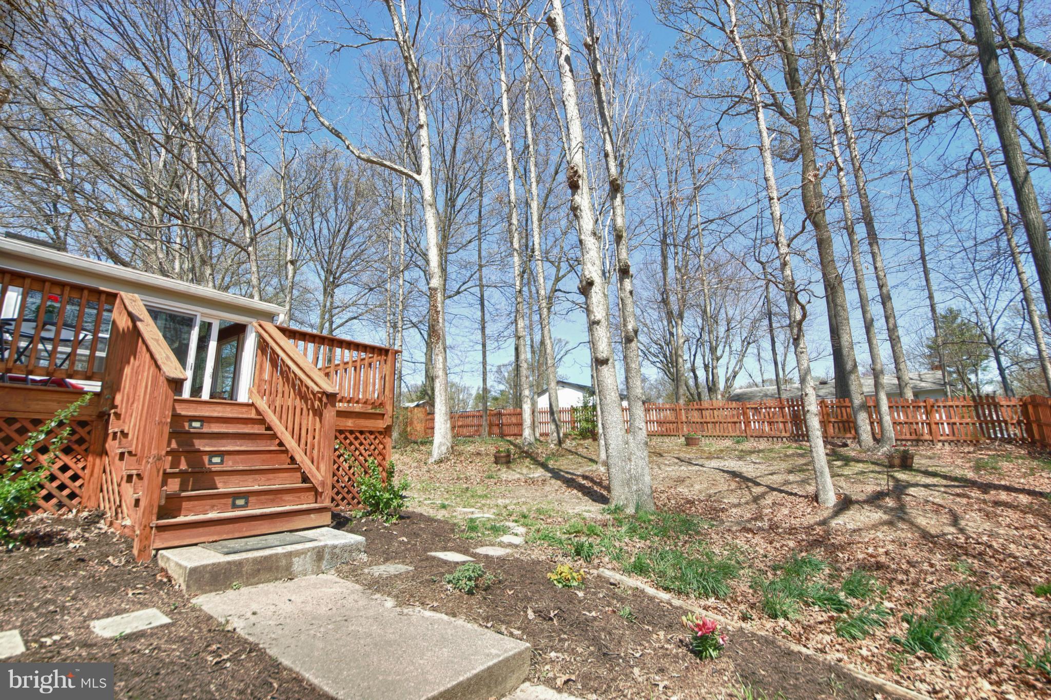 8202 Blairton Road Springfield, VA 22152 - Photo 22 of 23 Exterior (Rear)
