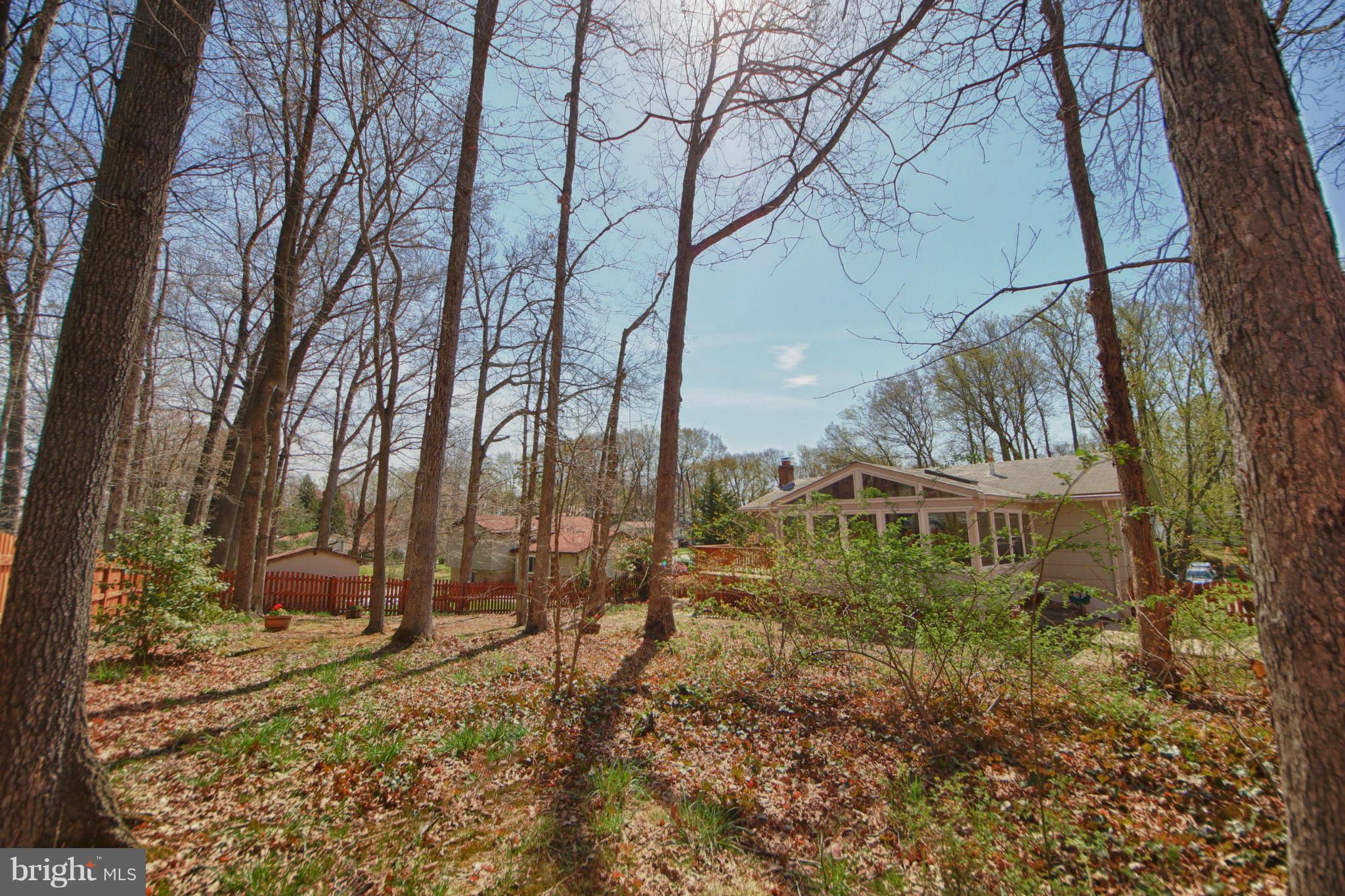 8202 Blairton Road Springfield, VA 22152 - Photo 23 of 23 Exterior (Rear)