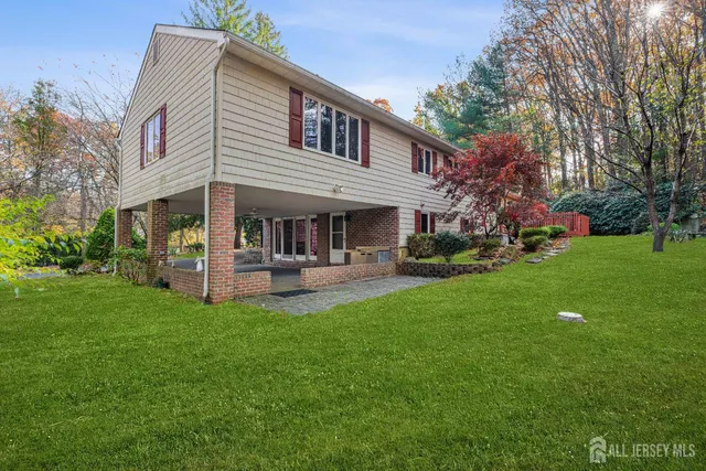 a view of a yard with plants and a fountain