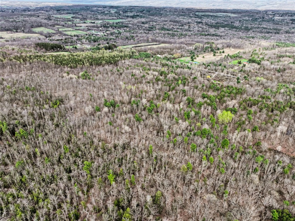 3349 County Road Valatie, NY 12184 - Photo 25 of 34