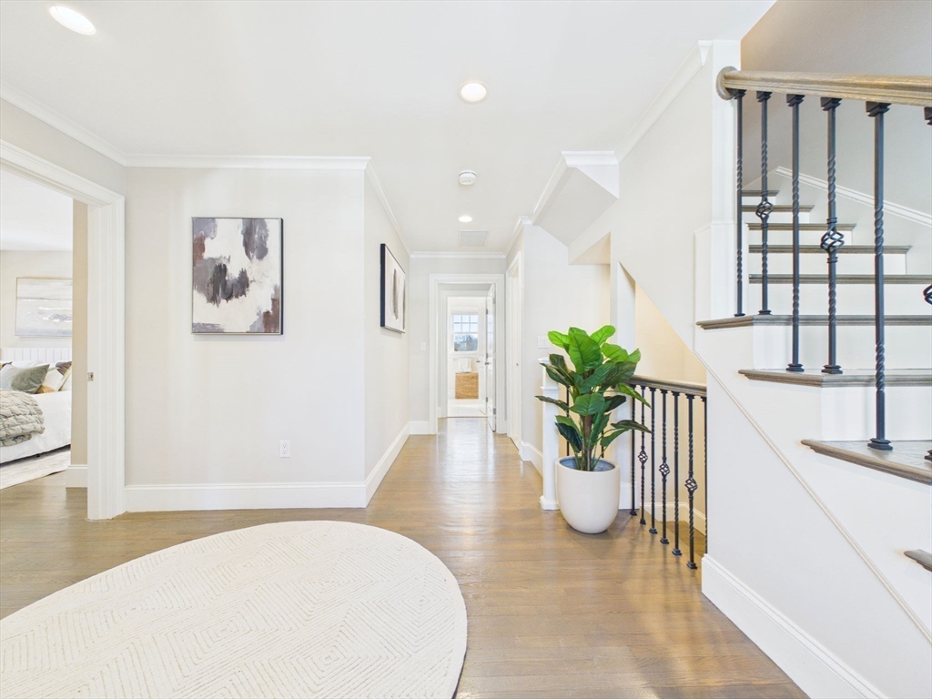 36 Troy Lane Newton, MA 02468 - Photo 20 of 42 a view of a living room and a potted plant