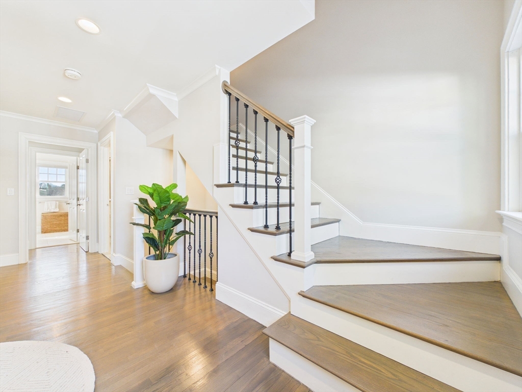 36 Troy Lane Newton, MA 02468 - Photo 21 of 42 a view of entryway and hall with a potted plant