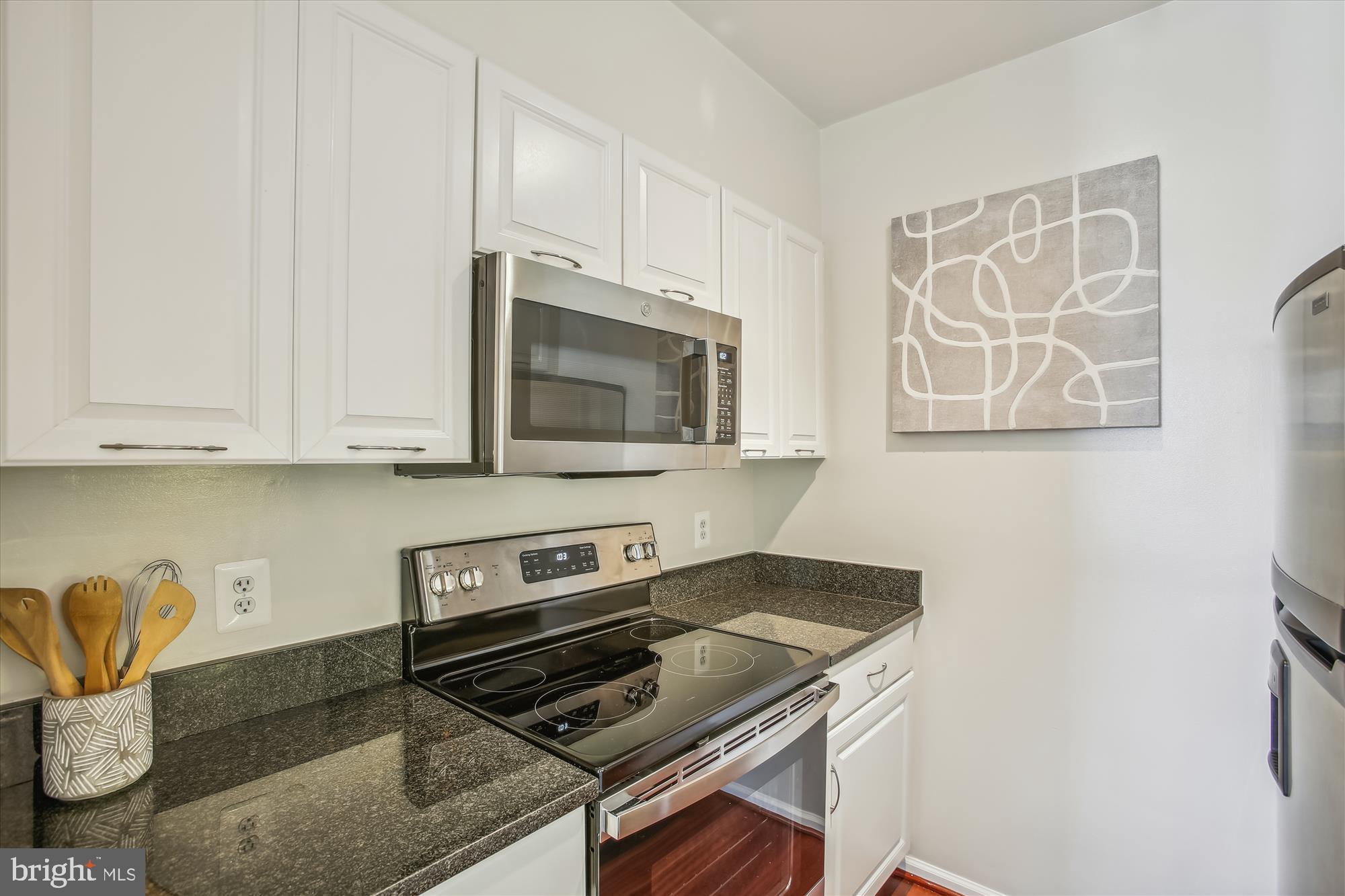 1619 R Street Northwest, Unit 603 Washington, DC 20009 - Photo 5 of 31 New Microwave and Range