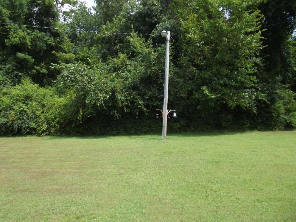 324 Creek Road Spring City, TN 37381 - Photo 54 of 70 Gallery Image 54