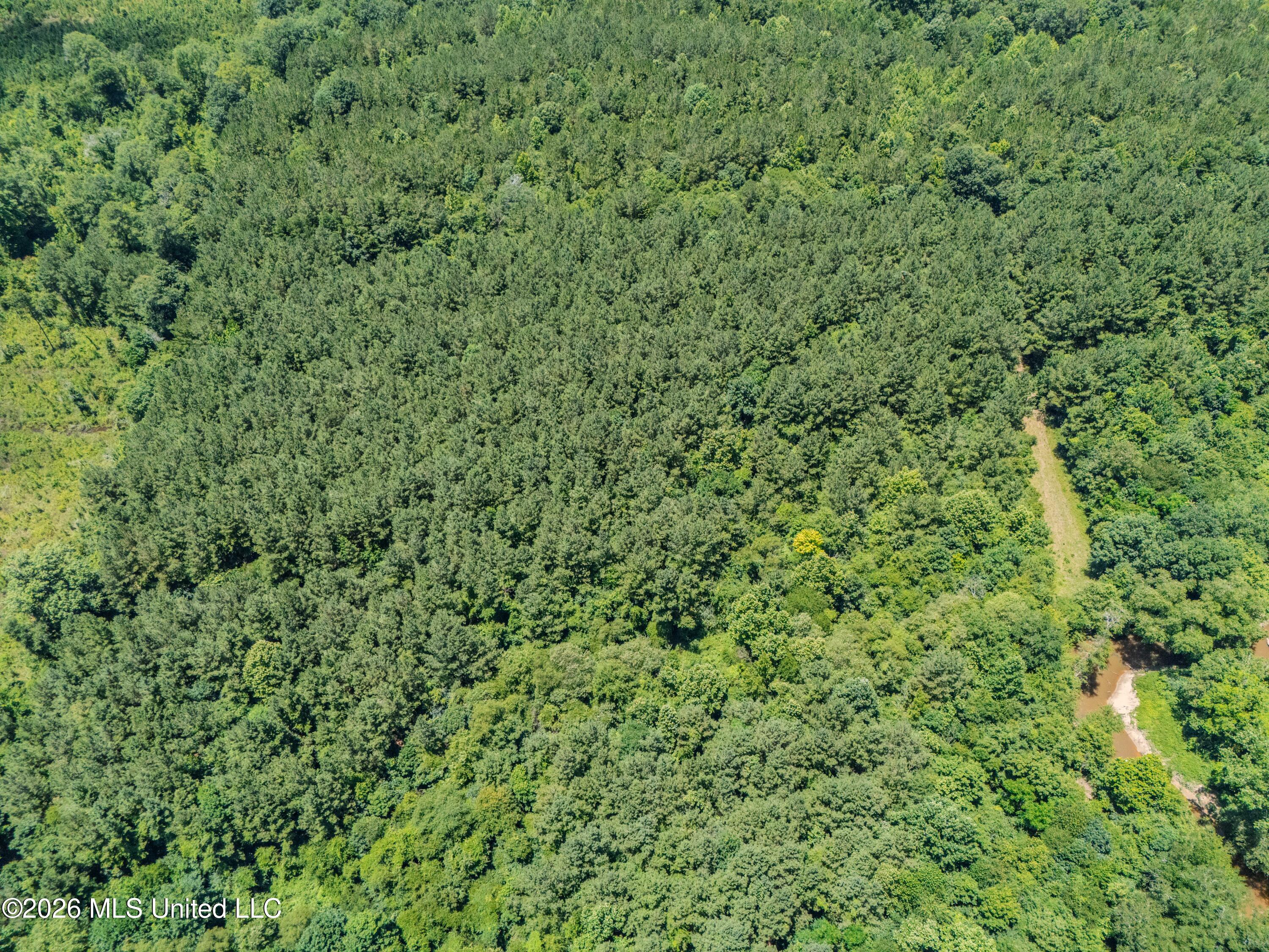 23 Co Road Bay Springs, MS 39422 - Photo 61 of 64 DJI_20260611124629_0038_D