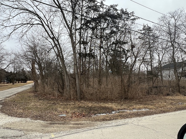 5603 Lenox Road Lisle, IL 60532 - Photo 2 of 4 a view of a yard with large trees